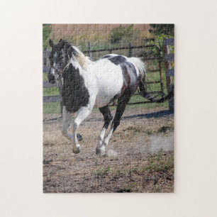 Pinto Paint Horse Jigsaw Puzzle