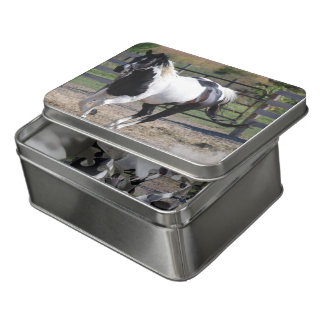 Pinto Paint Horse Jigsaw Puzzle