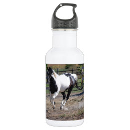 Pinto Paint Horse Stainless Steel Water Bottle