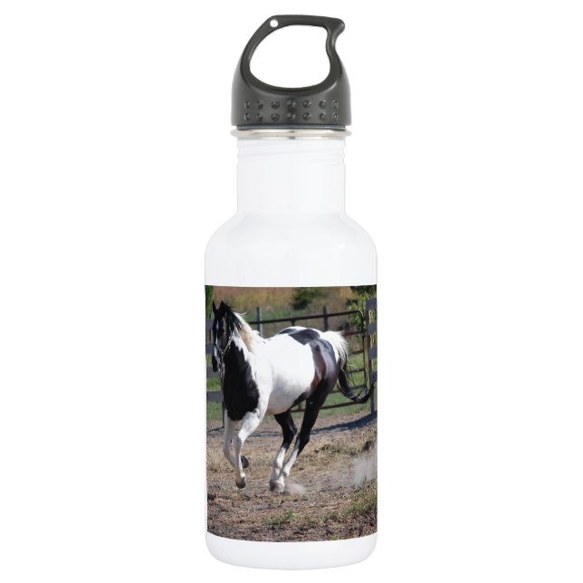 Pinto Paint Horse Stainless Steel Water Bottle (Front)