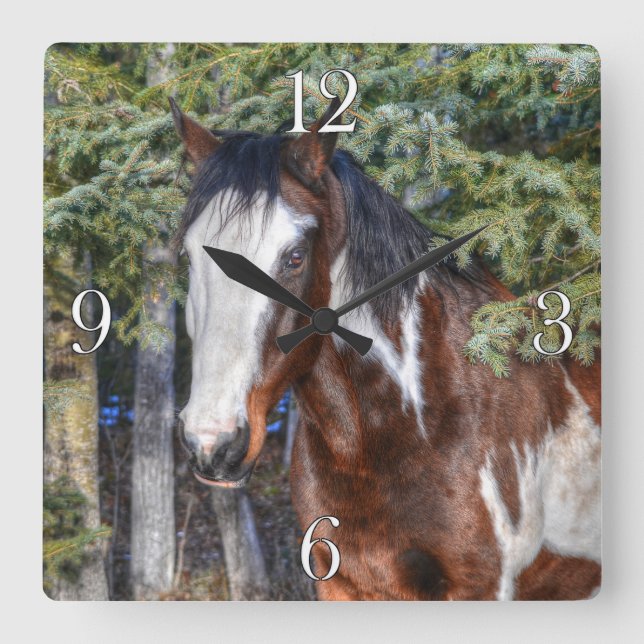 Pinto Paint Stallion & Evergreen Trees Square Wall Clock (Front)