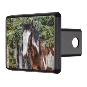 Pinto Paint Stallion & Evergreen Trees Trailer Hitch Cover