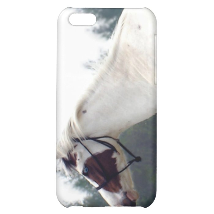 Pinto Photo Case, customizable 4 iPhone 5C Cases