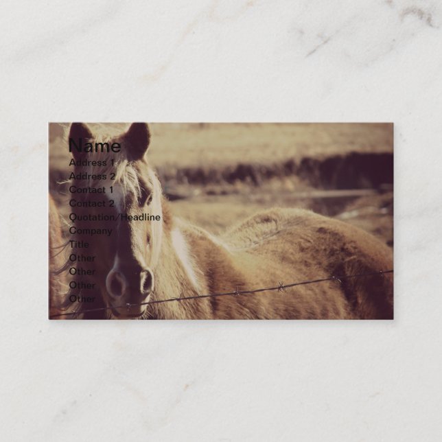 Pinto Pony Business Card (Front)