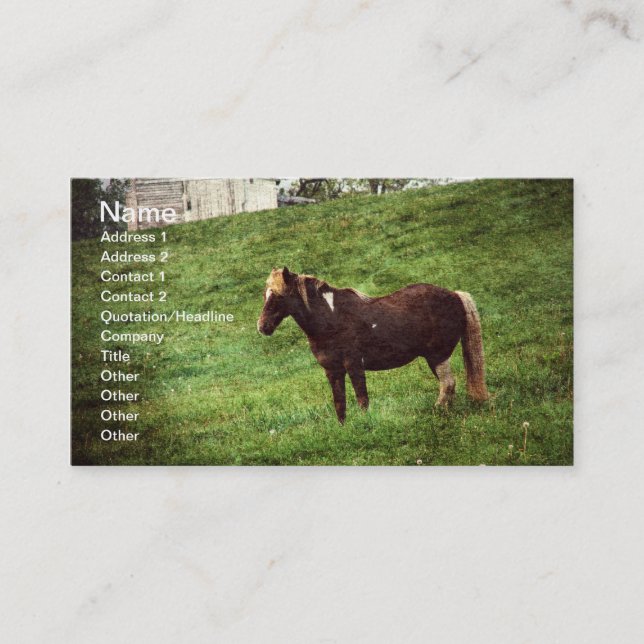 Pinto Pony Business Card (Front)