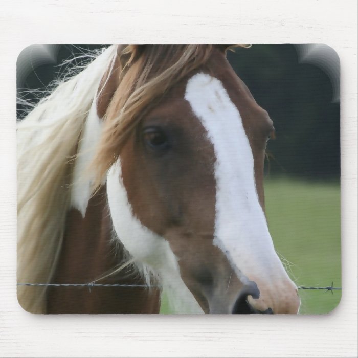 Pinto Pony Mouse Pad