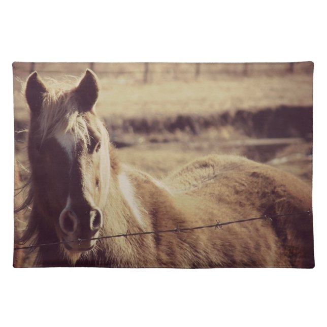 Pinto Pony Placemat (Front)