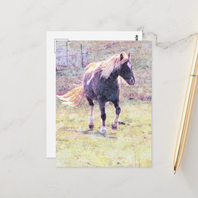 Pinto Pony Postcard (Front/Back In Situ)