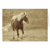 Pinto Pony Sepia Grunge (Front Horizontal)