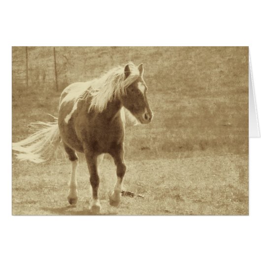 Pinto Pony Sepia Grunge Cards (Front Horizontal)