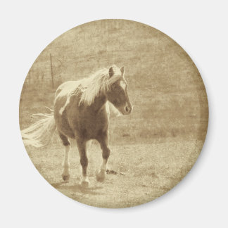 Pinto Pony Sepia Magnet