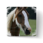 Pinto Pony Square Pin
