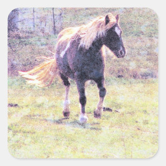 Pinto Pony Square Sticker