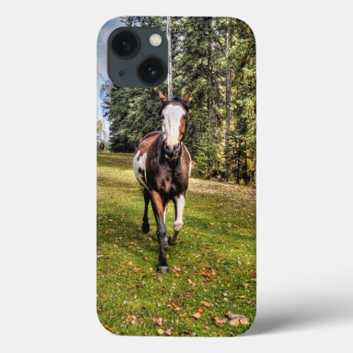 Pinto Ranch Horse Running in a Forested Field iPhone 13 Case