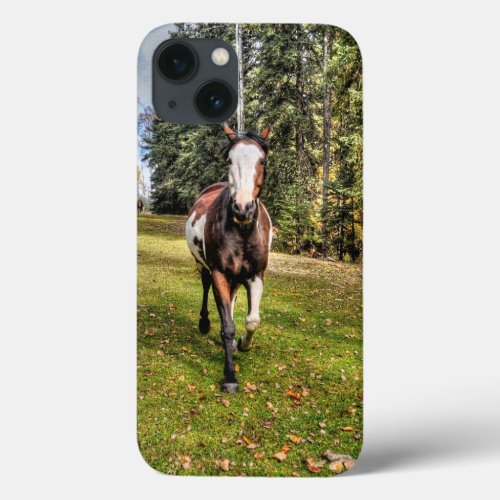 Pinto Ranch Horse Running in a Forested Field iPhone 13 Case