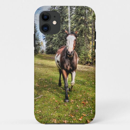 Pinto Ranch Horse Running in a Forested Field iPhone 11 Case