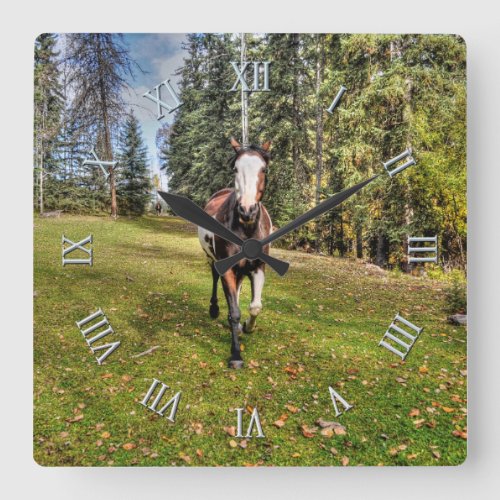 Pinto Ranch Horse Running in a Forested Field Square Wall Clock