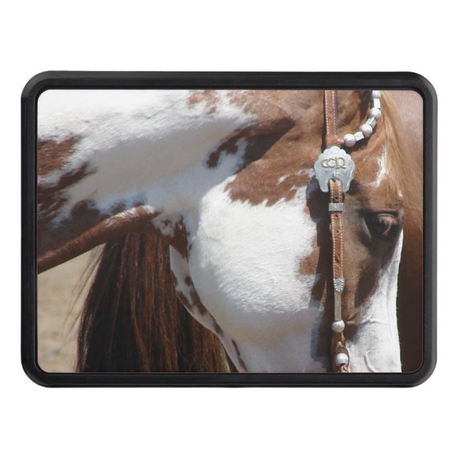 Pinto Trailer Hitch Cover (Front)