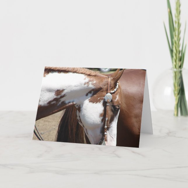 Pinto Western Horse Card (Front)