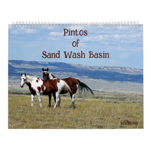 Pintos of Sand Wash Basin Calendar