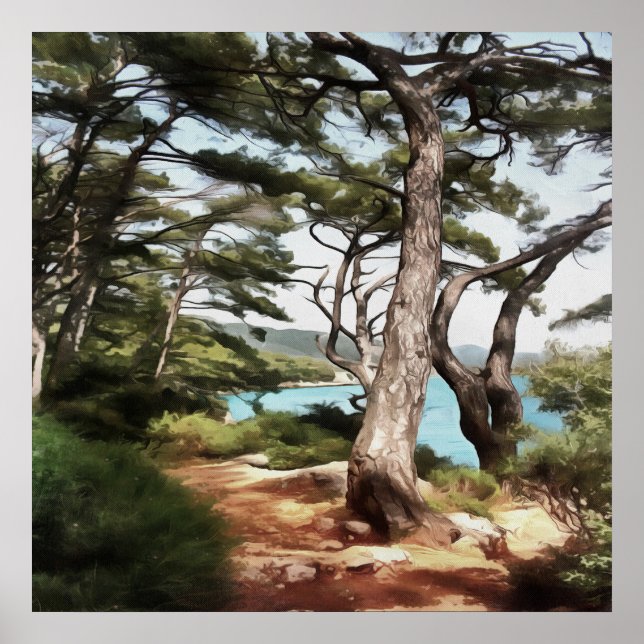 Pinus pinea Pine Tree Forest Painting  Poster (Front)