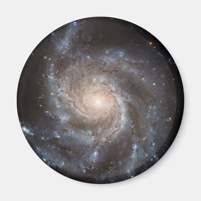 Pinwheel Galaxy Magnet (Front)