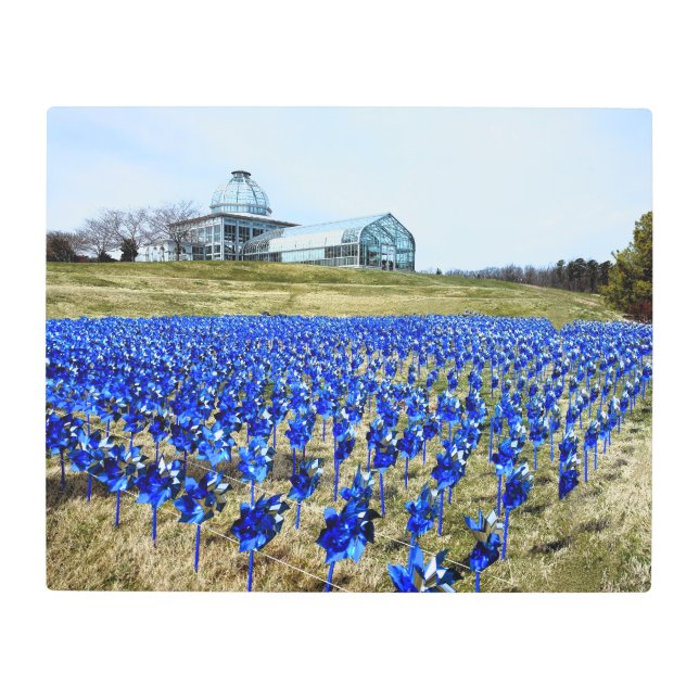 Pinwheels Garden LGBG Richmond VA Metal Print (Front)
