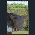 Pinzgauer 2013 Cattle Calendar- personalize Calendar<br><div class="desc">If you enjoy cattle or know someone that does, especially the beautiful Pinzgauer breed, this calendar is a perfect choice. Options include– calendar size, style and you may choose to add “text”/notes on any dates on the calendar. Go to my PINZGAUER CATTLE SECTION to see the largest collection of Pinzgauer...</div>