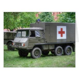 Pinzgauer 712 SAN Cards