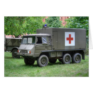 Pinzgauer 712 SAN Cards