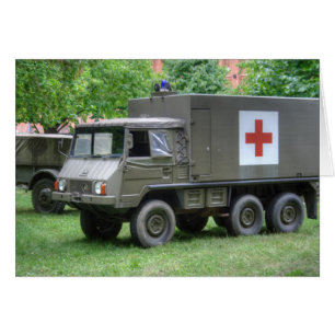 Pinzgauer 712 SAN Cards