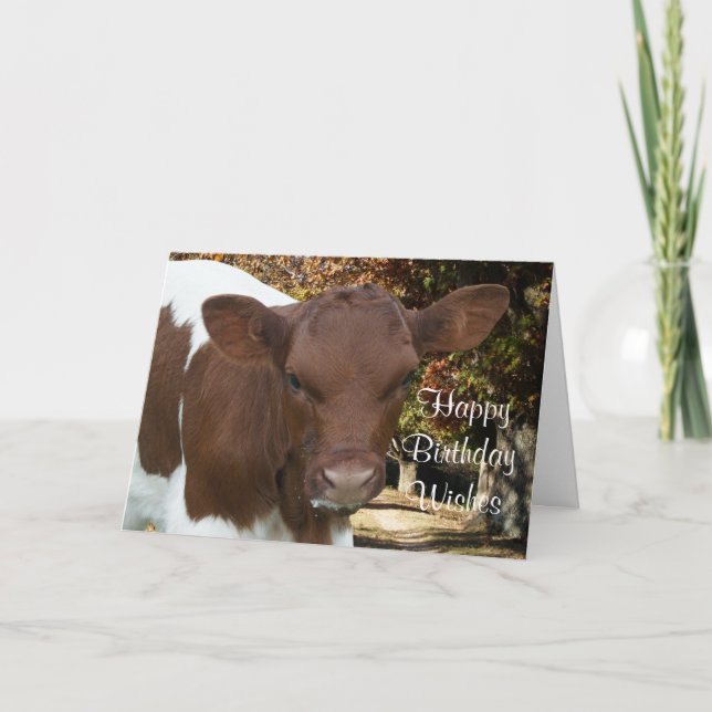 Pinzgauer calf Tansy-customize any occasin Card (Front)