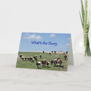 Pinzgauer Cattle Herd 8372 -customize any occasion Letterpress Thank You Card