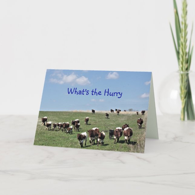 Pinzgauer Cattle Herd 8372 -customize any occasion Thank You Card (Front)