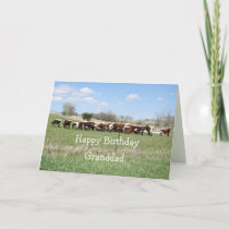 Pinzgauer cattle herd 8399- customize any occasion thank you card