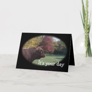 Pinzguaer BlkOval-customize any occasion Card