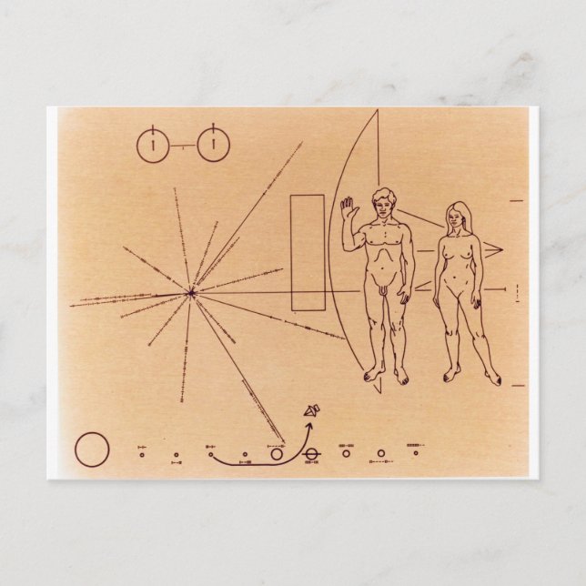 Pioneer 10's Plaque Engraved Gold-Anodized Plate Postcard (Front)
