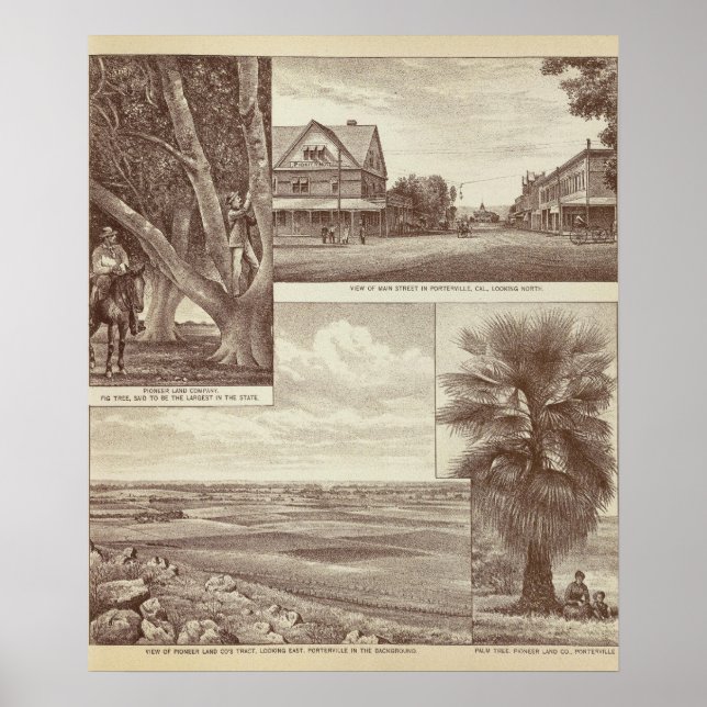 Pioneer Land Co tract, Porterville Poster (Front)