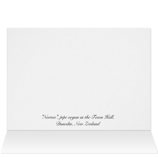 Pipe organ and organist (Inside Horizontal (Top))