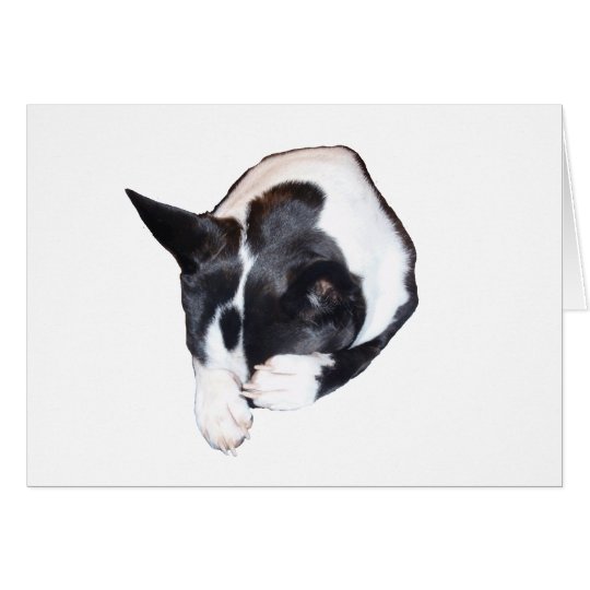 Piper - Sleeping Card