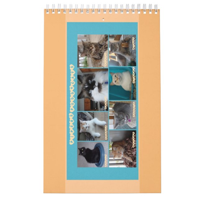 PipersPuddycats 2020 Calendar (Cover)