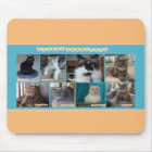 PipersPuddycats Mouse Pad