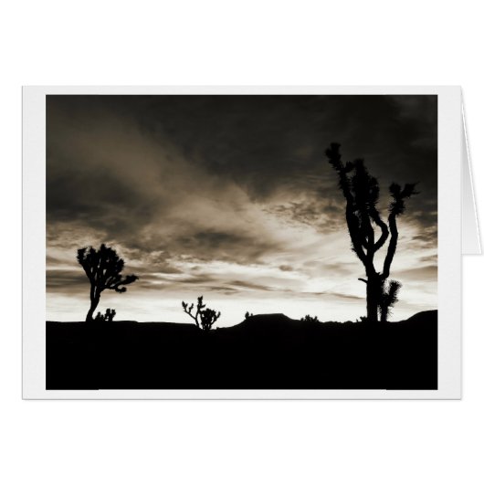 Pipes Canyon Cards (Front Horizontal)