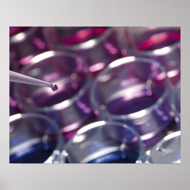 Pipette and petri dishes with fluids poster (Front)