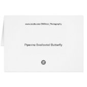 Pipevine Swallowtail Butterfly Cards (Back Horizontal)