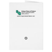 Pipevine Swallowtail Butterfly Cards (Back)