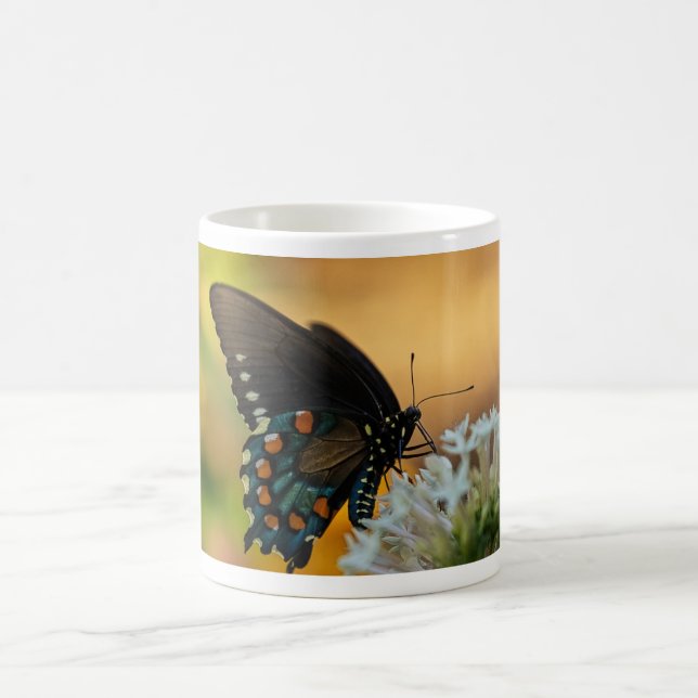 Pipevine Swallowtail Butterfly Coffee Mug (Center)