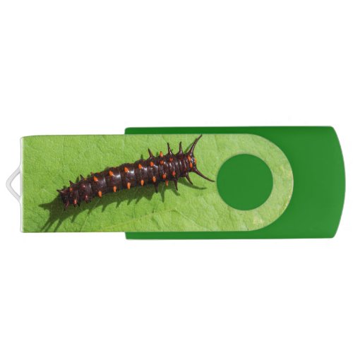 Pipevine Swallowtail Caterpillar USB Flash Drive