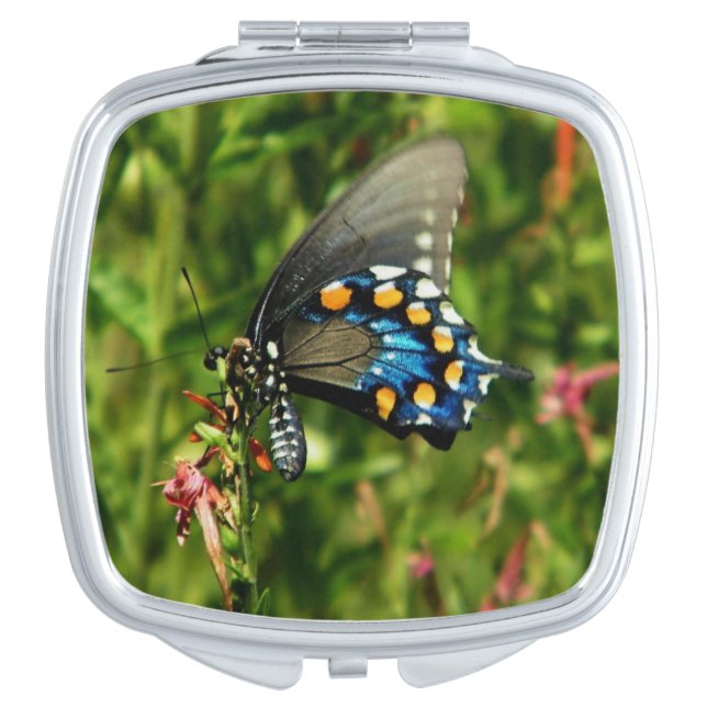 Pipevine Swallowtail Makeup Mirror (Front)