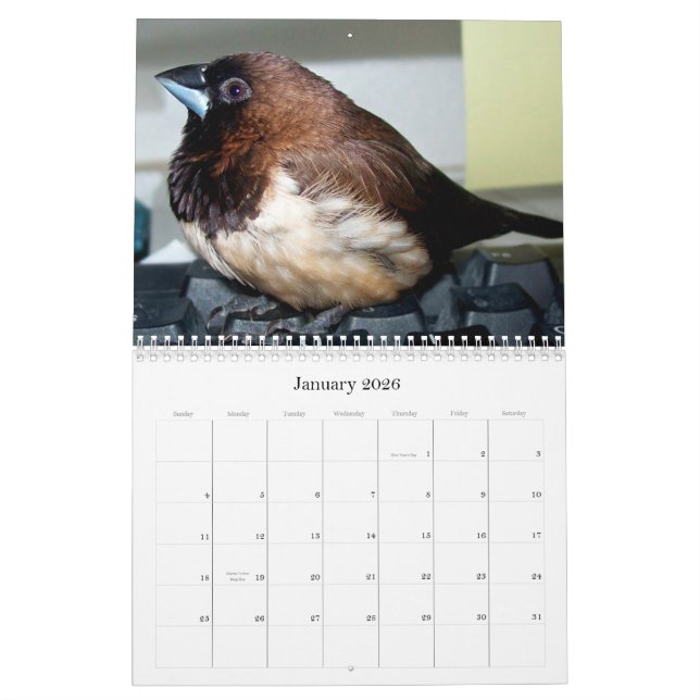 Pipi the adorable finch calendar (Jan 2026)